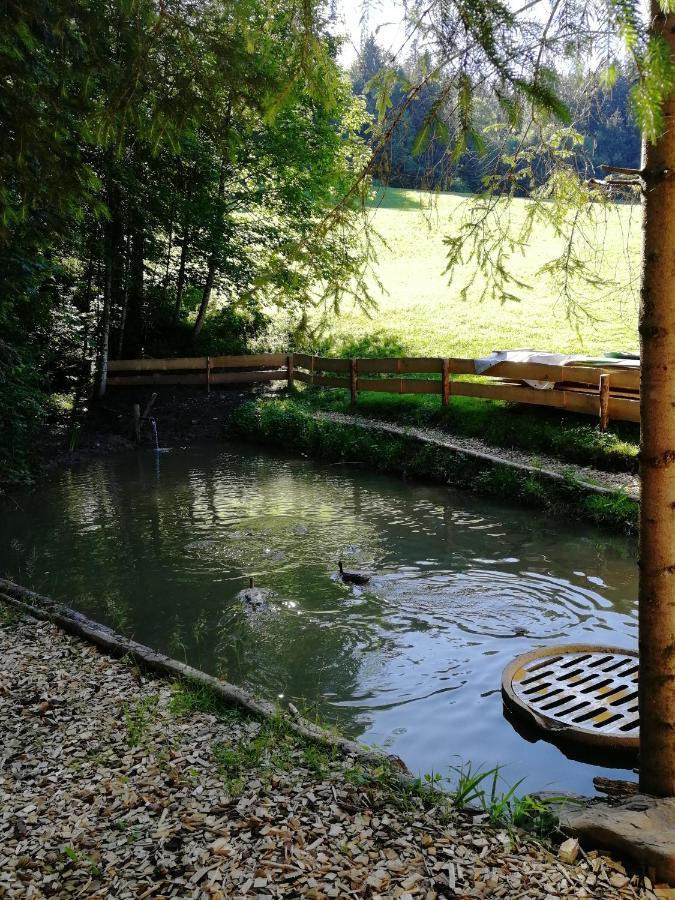 Ferienhaus Am Waldrand Von Egg Bregenzer Wald מראה חיצוני תמונה